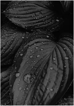 Chris Kreymborg Photography Contact decoration image